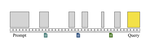 CoinRAG: Contextualized Information Nugget KV Cache Reuse for Long-Context RAG